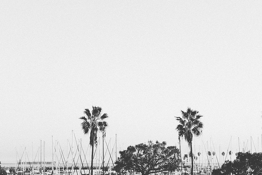 Minimalist Black and White Palm Trees and Sailboat Masts