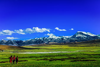 Buddhist Monks Walking in Green Tibetan Valley with Snowy Mountains