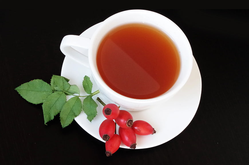 White Teacup with Rose Hips and Green Leaves on Black