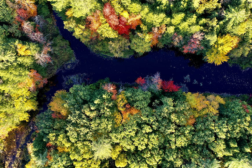 Aerial View of Colorful Autumn Forest and Dark River