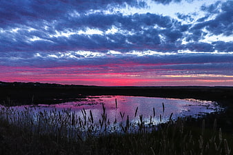 Dramatic pink and purple sunset over a calm lake with reeds