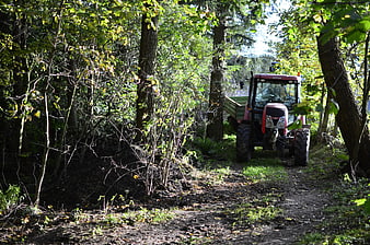 Red tractor driving on a dirt path through a sunlit forest