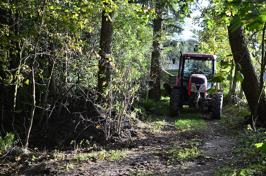 Red tractor driving on a dirt path through a sunlit forest