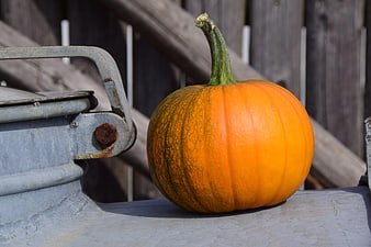 Orange Pumpkin on Rusty Metal Surface