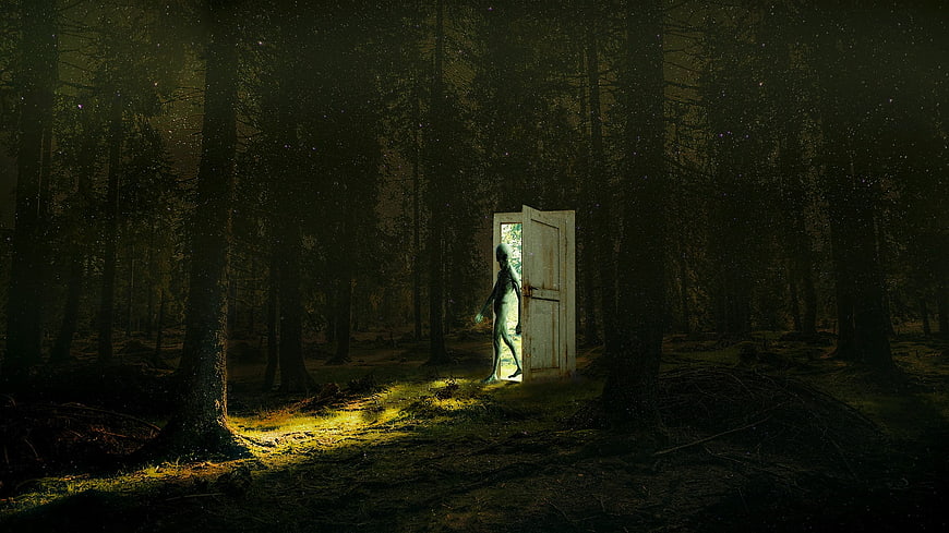 Mysterious glowing figure stepping through a door in a dark forest