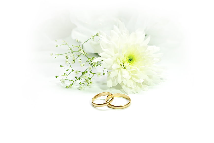 Gold Wedding Rings with White Flowers on White Background