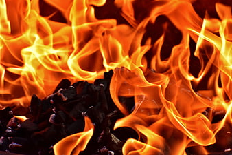 Close-up of burning charcoal with bright orange flames