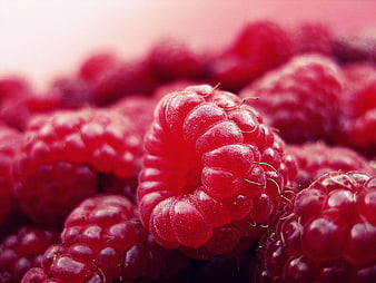 Close-up of fresh red raspberries with shallow depth of field