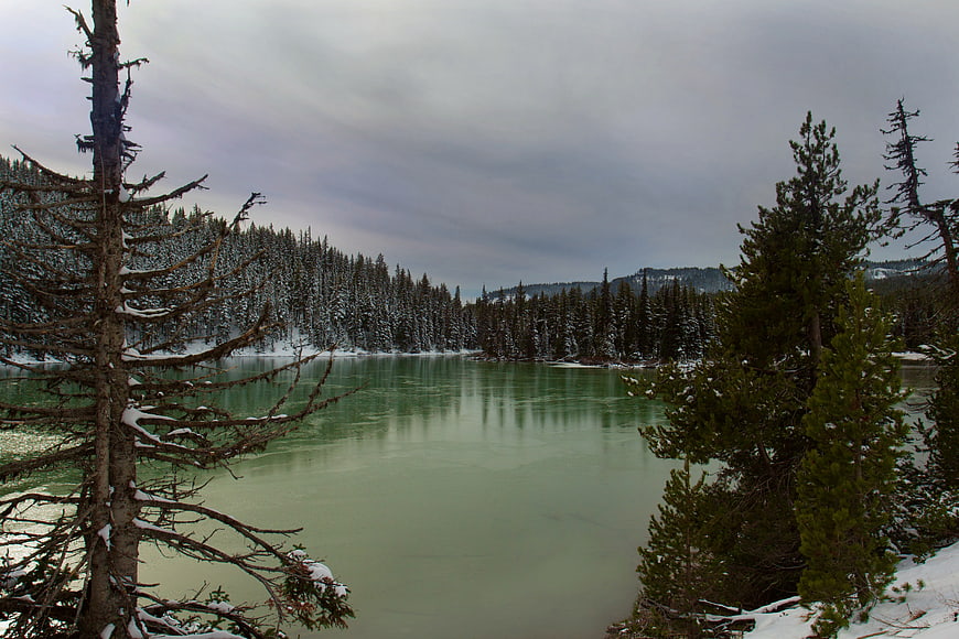 Serene Frozen Lake Surrounded by Snowy Pine Forest
