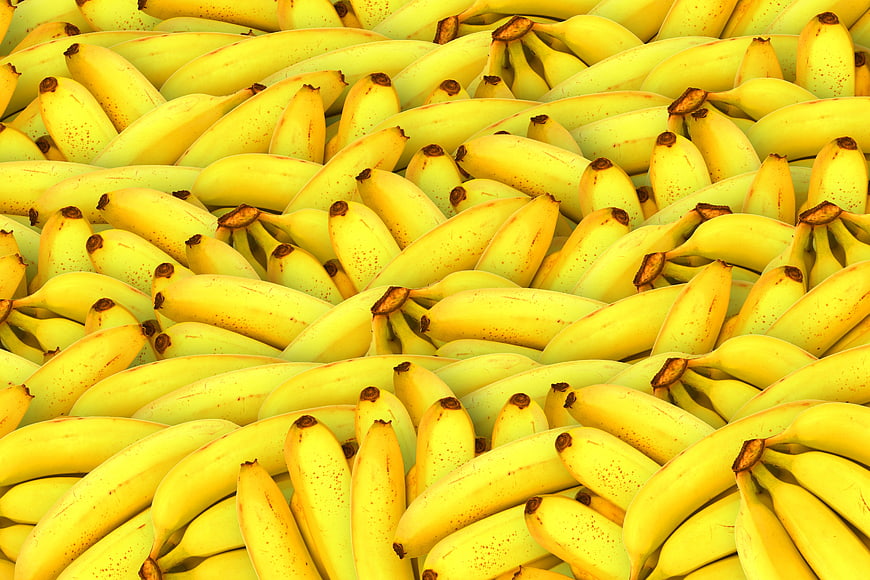 Close-up of a large pile of ripe yellow bananas