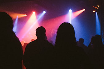 Silhouettes of concert crowd watching stage lights
