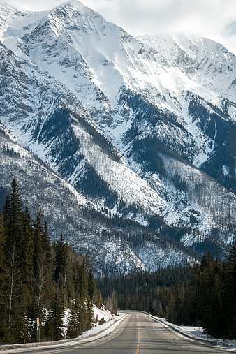 Winding Highway Through Snowy Mountain Forest Landscape