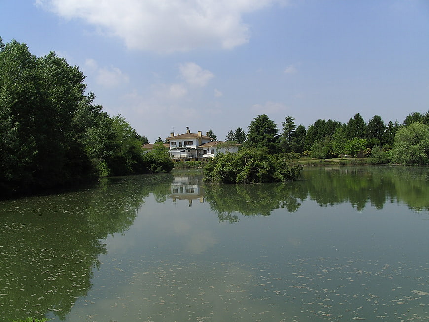 Serene lake with house reflection and green trees