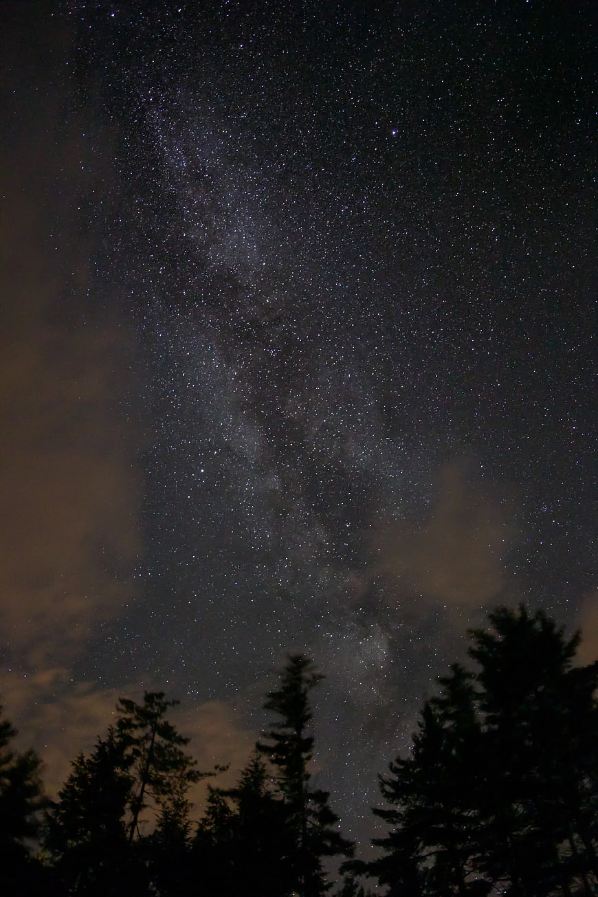 Milky Way Galaxy Over Silhouetted Pine Trees at Night