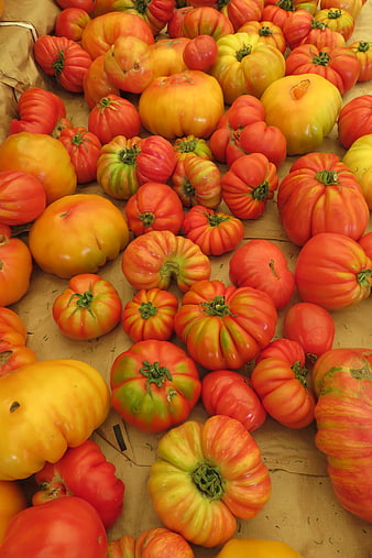 Colorful Heirloom Tomatoes on Brown Paper