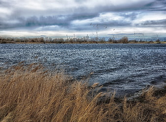 Dramatic Lake Landscape with Wind Turbines and Flying Birds