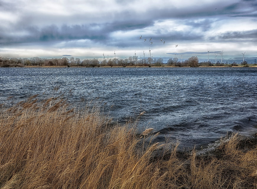 Dramatic Lake Landscape with Wind Turbines and Flying Birds