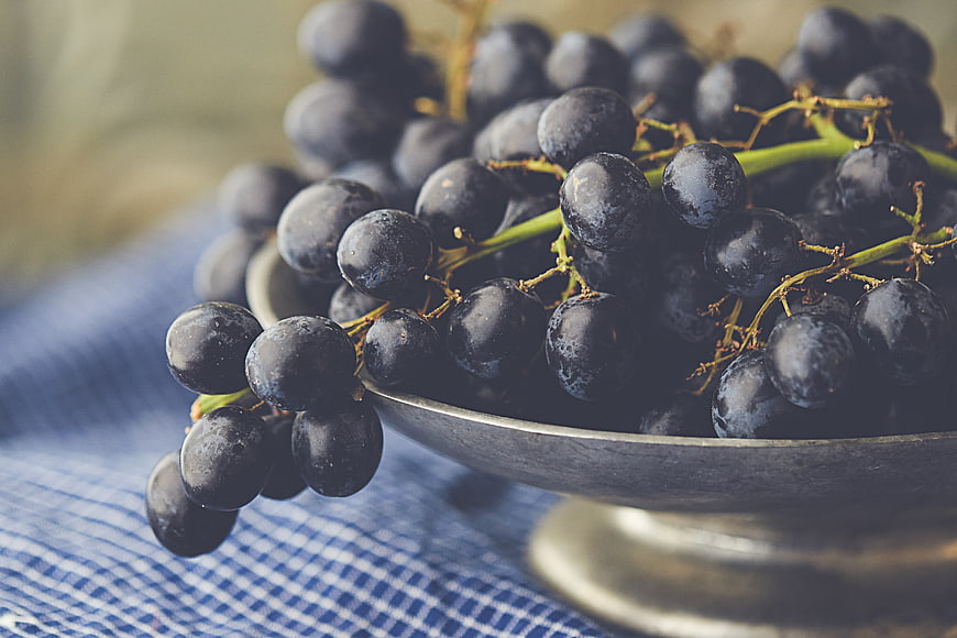 Close-up of fresh dark grapes in a rustic metal bowl
