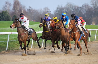 Horse Racing Competition With Jockeys On Dirt Track