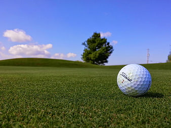 Close-up of Titleist golf ball on green grass