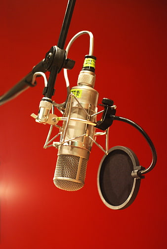 Professional Studio Microphone on Red Background