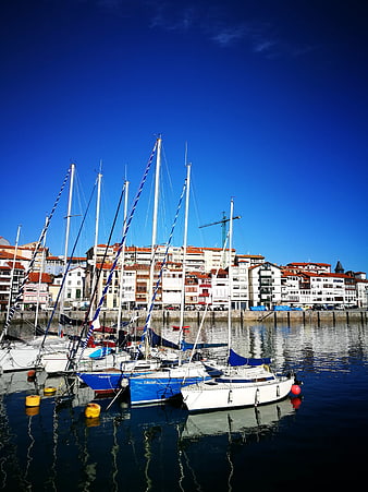 Sailboats docked in harbor with city skyline background