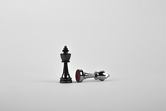 Black and Silver Chess Kings on White Background