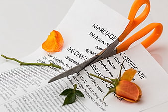 Scissors cutting marriage certificate with dried rose petals