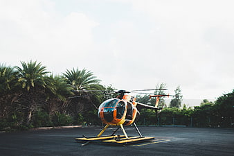Orange Helicopter on Tarmac with Palm Trees