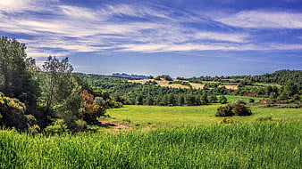 Vibrant Rural Landscape With Green Pastures And Rolling Hills