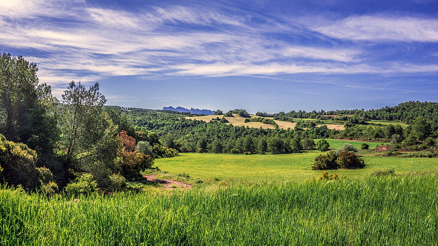 Vibrant Rural Landscape With Green Pastures And Rolling Hills