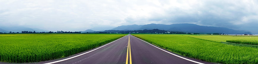 Panoramic view of straight road through green rice paddies