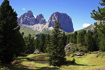 Majestic Dolomites Mountain Landscape with Forest and Pond