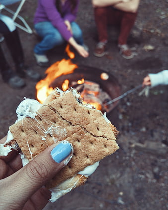 Hand holding s'more with campfire background