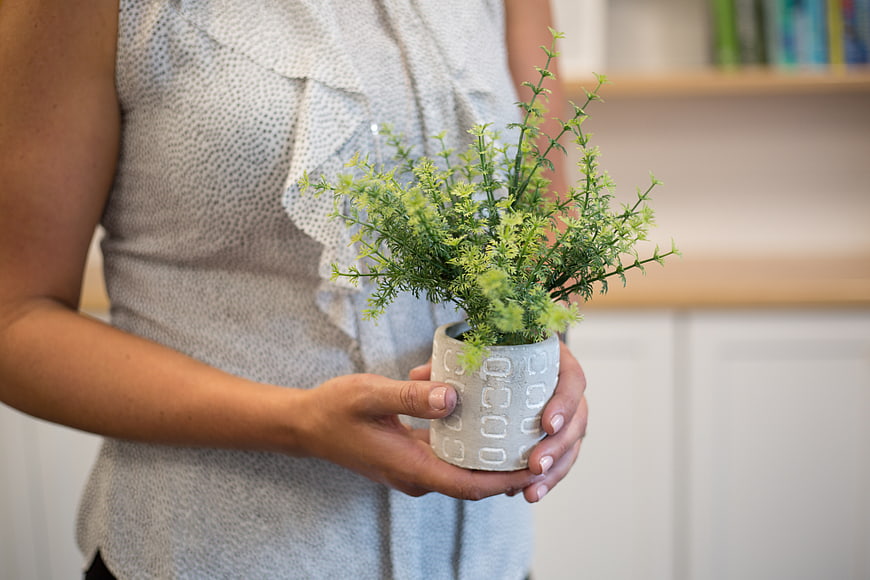 Woman holding small potted green plant indoors
