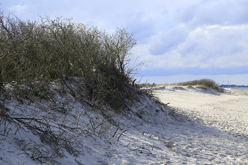 Sandy dunes with sparse vegetation under a cloudy sky