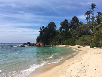 Tropical beach with turquoise water and palm trees