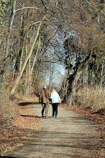 Senior Couple Walking Arm in Hand on Autumn Forest Path