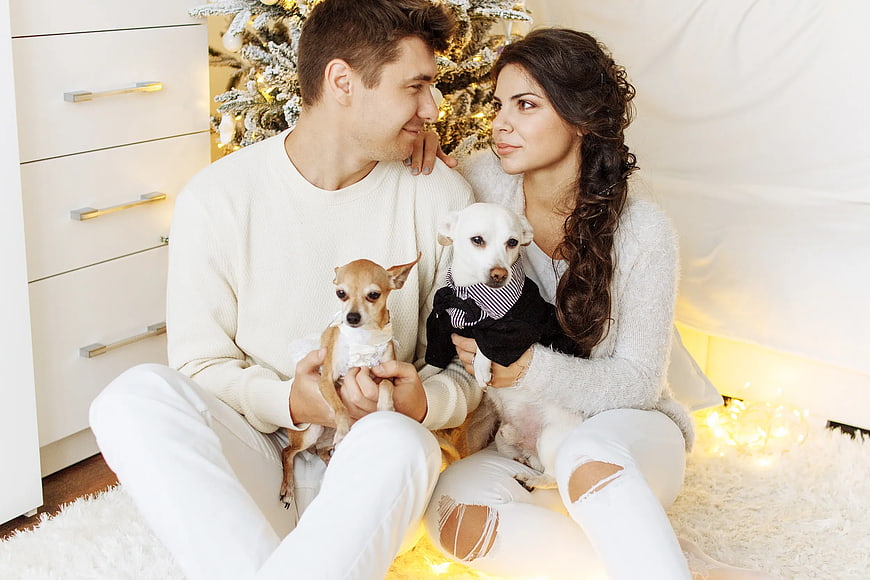 Happy Couple with Two Dogs by Christmas Tree