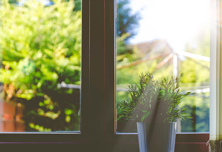 Potted plant on windowsill with sunbeams and blurred garden view