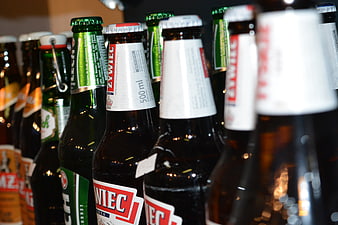 Close-up of assorted beer bottles on a shelf
