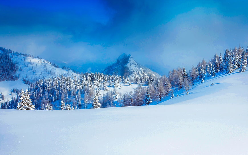 Snowy Mountain Landscape with Pine Trees and Blue Sky