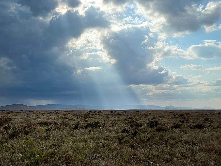 Dramatic sun rays over vast grassland with grazing wildlife