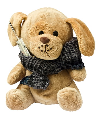 Cute Beige Teddy Bear Wearing Knitted Scarf Holding Clinical Thermometer