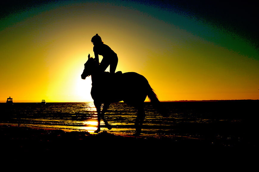 Silhouette of Horse and Rider on Beach at Sunset