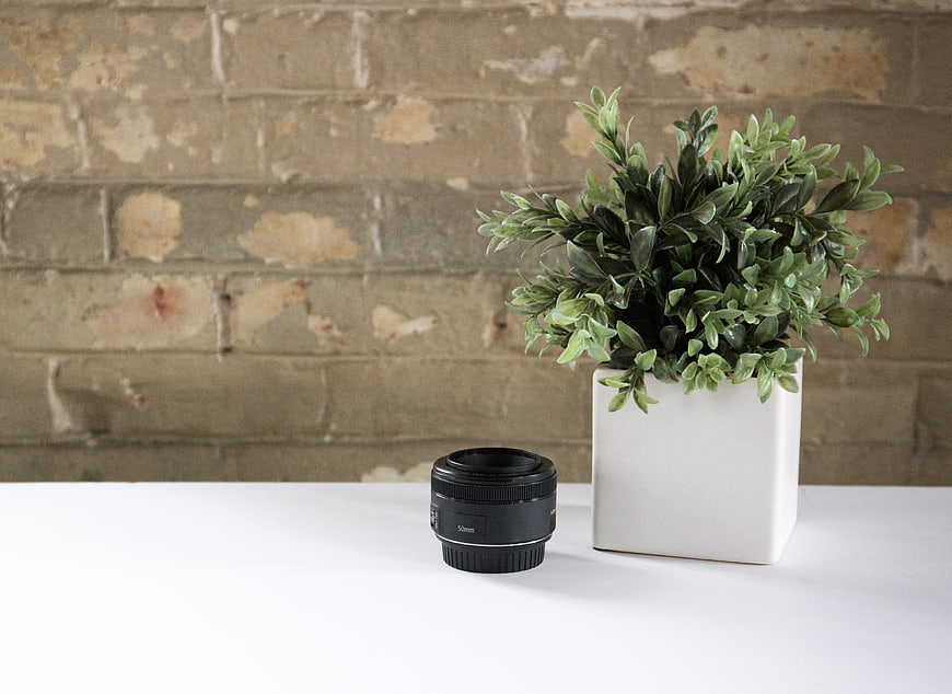 Camera Lens and Potted Plant on White Desk