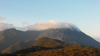 Misty Mountain Peak with Clouds and Forested Hills