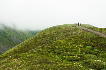 Hikers on a misty green mountain ridge path