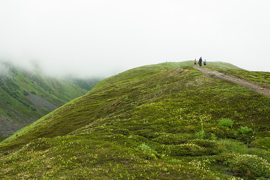 Hikers on a misty green mountain ridge path