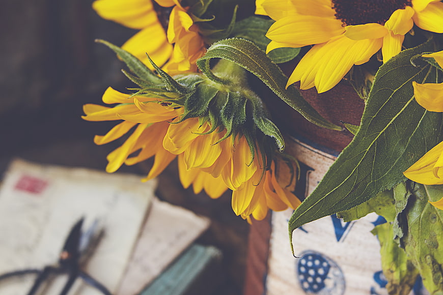 Rustic Sunflower Bouquet with Vintage Letters and Scissors